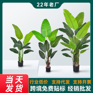 �羳�������Gֲ�ָ����˽���ֲ������҃ȸ߶˷���ֲ�������B