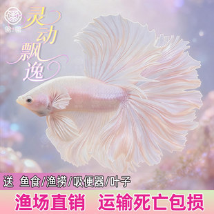 ̩�����~��Ů��װ��³����W�tС�͵�ˮ�Ꭷ��ˮ�^�p�~���B�~��