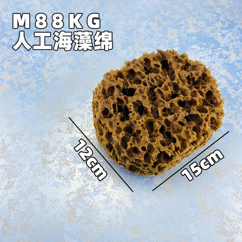 기타; M88KG (큰 꽃); 해초