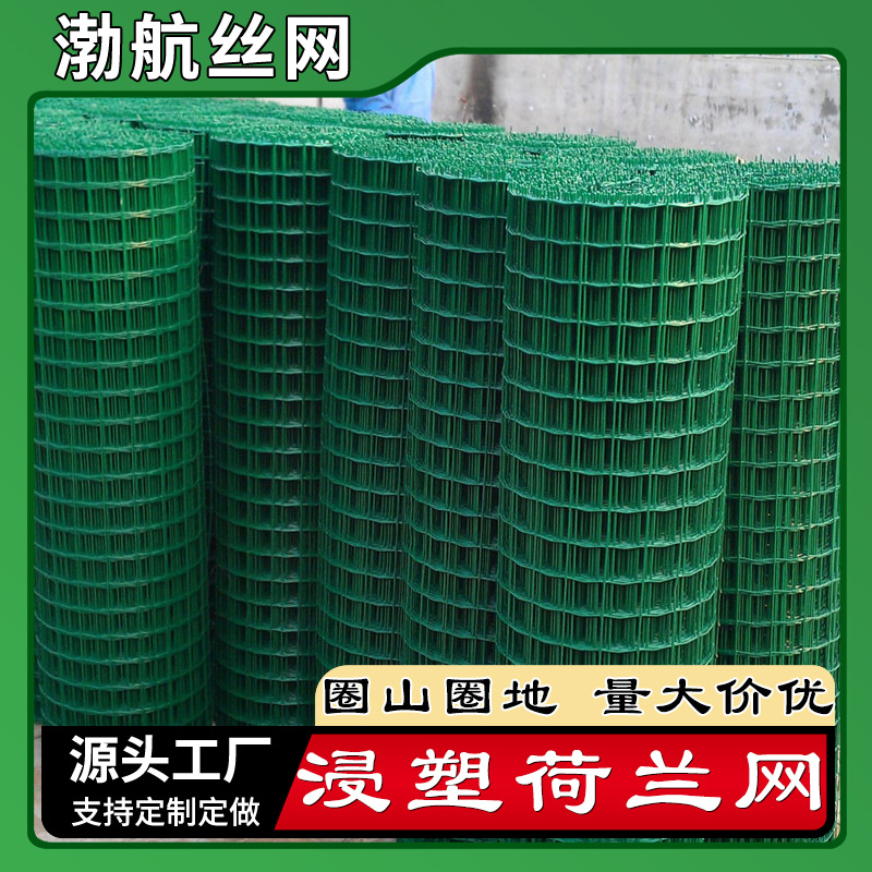 包塑镀锌铁丝荷兰网 养殖牛羊鸡鸭圈地荷兰网 农业畜牧圈养浸塑网