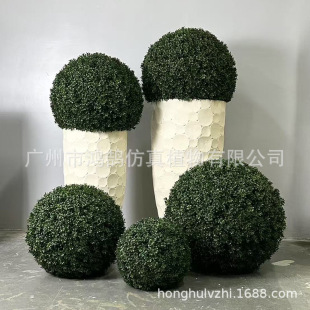 ���������ȼ������m��÷�~̦�\�������~�����������ɰؘ�����~