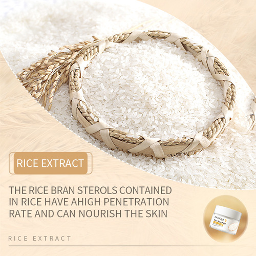Full English BIOAOUA rice puree facial cream hydrating and moisturizing facial skin care products foreign trade cross-border special response