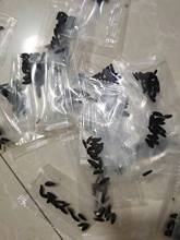 儿童小学生小礼品赠送批发蔬菜花卉种子波斯菊小包装价格低见效快