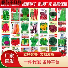 一件代发四季蔬菜种子南北方农家阳台盆栽种菜香菜生菜油菜原厂易