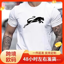 �����ļ�100��ʱ�����п��ɼ��붯���Ա�ӡ���˶�Բ�����t������