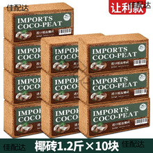 Ҭ��΁ţ��B���}��ľ�з�����|��͸�Ᵽ������Ҭ���I�B��