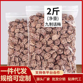 酸甜话梅干 九制话梅 微咸正宗话梅特产零食梅干果干果脯
