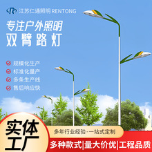 双头市电路灯LED高低臂路灯户外道路照明市政工程双臂路灯杆厂家