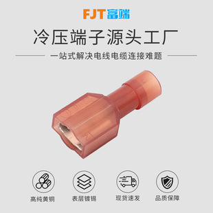 �����^��ĸ����p�T����ul�J�Cfdfnyd2-250���~���䉺����