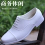 正品透气演出婚礼皮鞋
