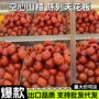 空心无核去核休闲蜜饯
