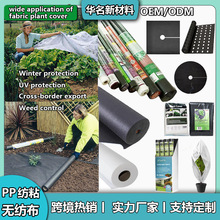 跨境现货pp无纺布农业保温防寒布定 制黑白色防草除草育苗无纺布