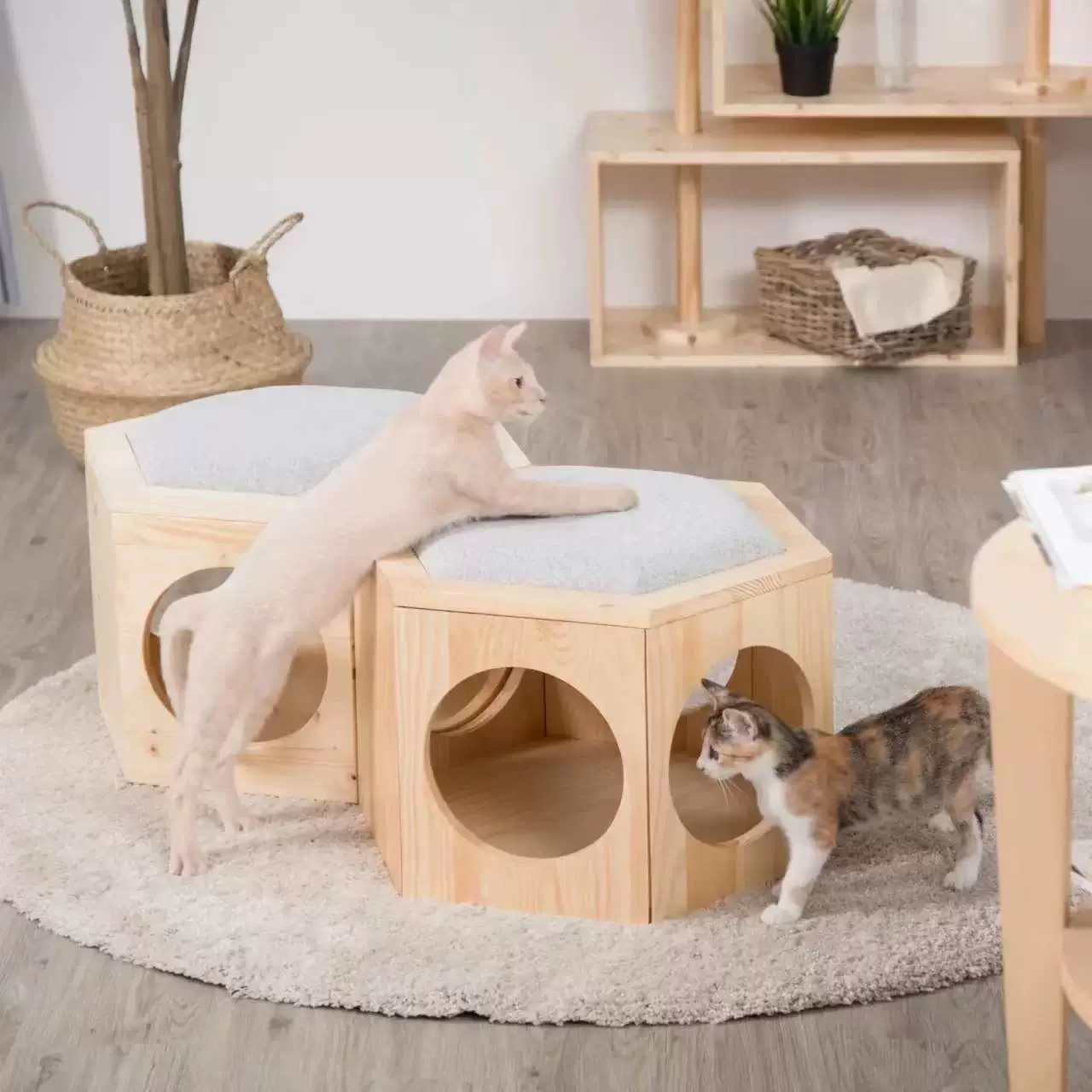 Домашний массивный деревянный маленький кошачий гнездо многоугольник деревянный домашний питомец