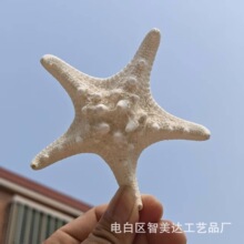 ������Ǻ������ �z�^�����b�Ʒ ��ˇ�Ҿ��b�ɫ���ǘ˱����l