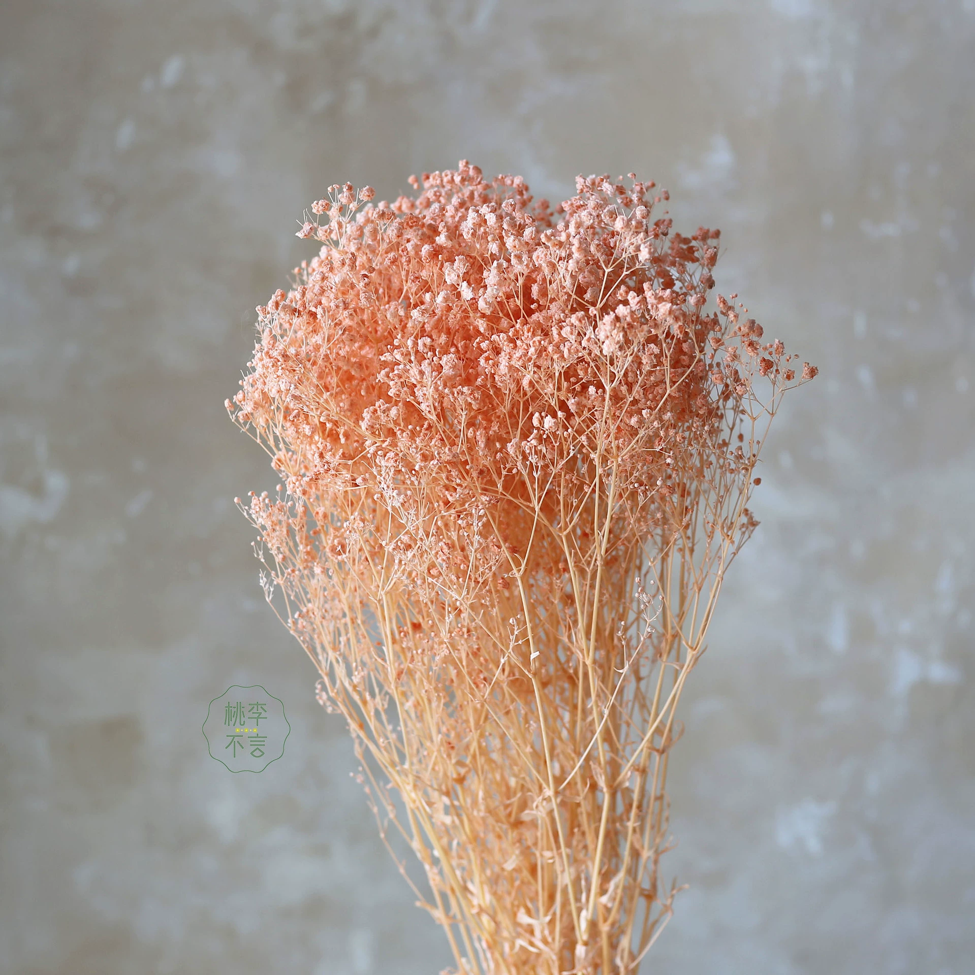 [永生花梦幻星千万星漂白满天星干花厂家批发礼盒玻璃罩制作原材料]