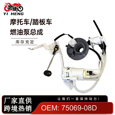 Cross-Border Applicable to 75069-08D Harley-Davidson 14-15 Fuel Pump Assembly Hfp-A243 (Oil pump, nozzle)