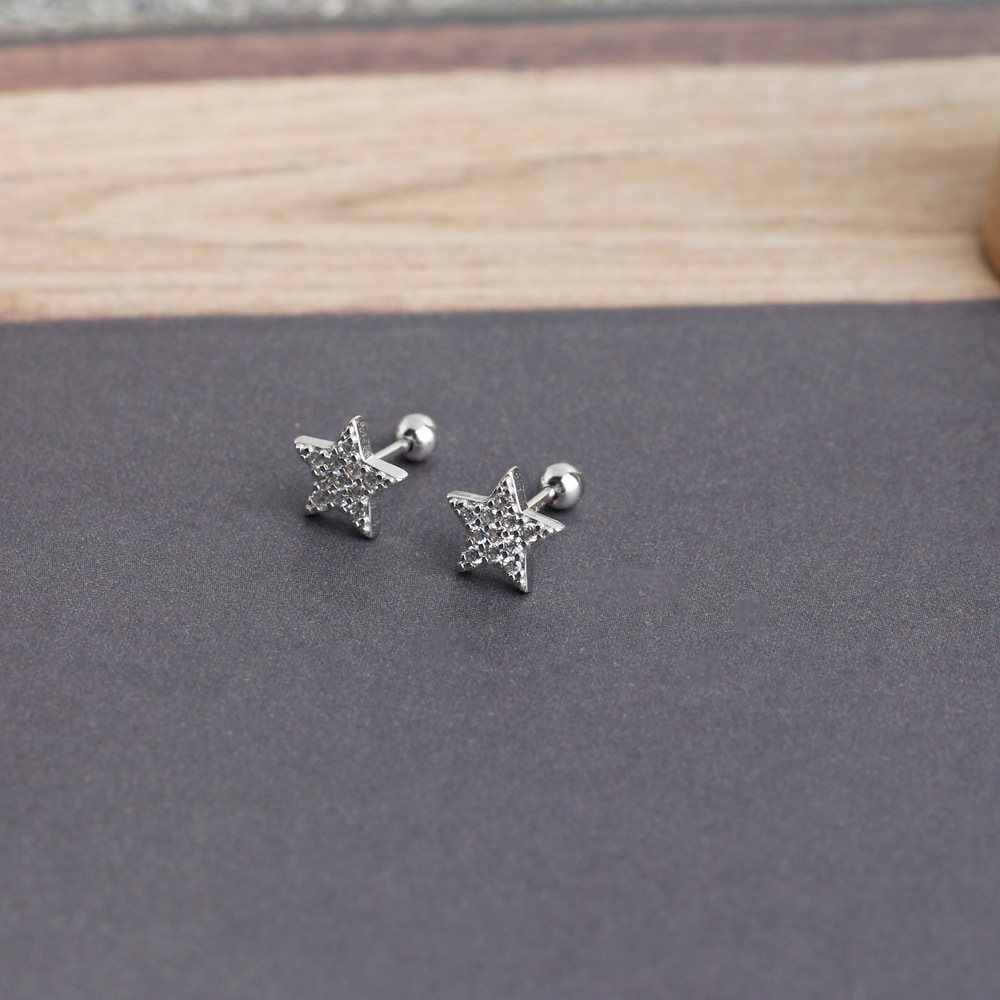 Fashion Star Sterling Silver Inlay Zircon Ear Studs 1 Pair