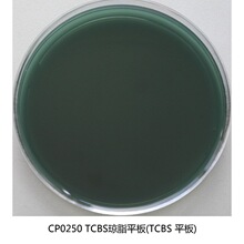 �h�P TCBS��֬���B�� ������ƽ�� ��y�����z�y ���м�Ʒ�|���C