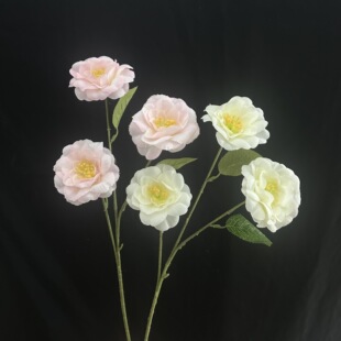 ��c���滨3�^ܽ�ػ� �¼��� ��Y�廨������̨�b�ˇ�����[��