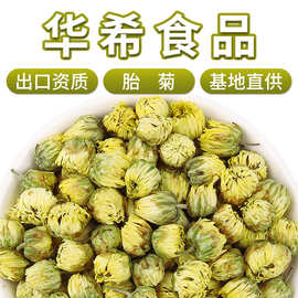 厂家批发新货桐乡胎菊 基地直供散装杭白菊 农产品菊花茶叶胎菊王