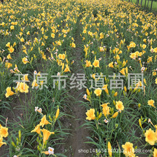 �|���޸����ܻ������l��������ݘ���t��ʯ���С�����ݱ���