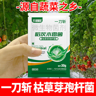 Authentic One-Step Solution for Trichoderma Asperellum Microbial Agent Sterilization and Bacillus Subtilis Disease One-Step Solution