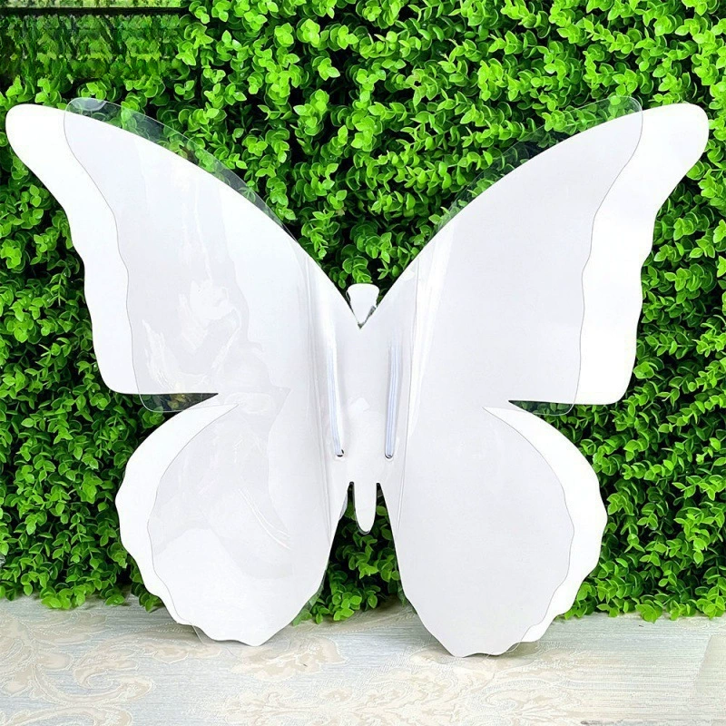 Butterfly wings blank three-dimensional painting double-layer hand-painted materials children's painting graffiti activities