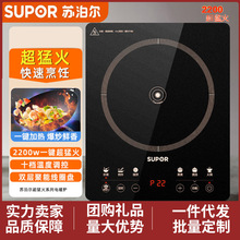 �ղ������¯���������ܶ�ʱ2200W�ͻ�¯C22-IA95D