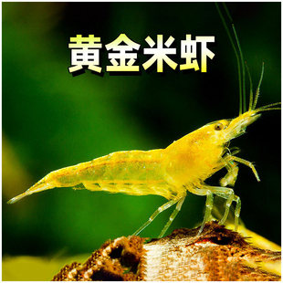 �S���r��ˮ�ݸ��^�p�r���w���幤�ߌ��������r�S�����r�����坍�r