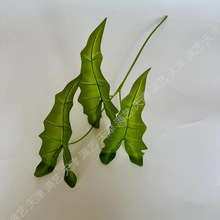 cSֱN3^5^Zq~滨c 쾰 廨