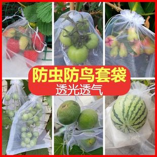 Fruit Bagging Insect-Proof and Bird-Proof Mesh Bag Strawberry Grape Fig Guava Breathable Gauze Protective Bag