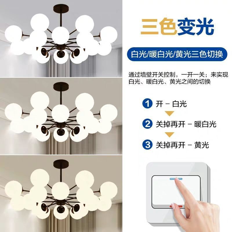 773e221a-c075-4b3a-9c75-3c6c5e8d61cf.jpe