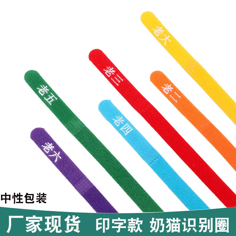 宠物识别圈猫咪幼猫分辨标记幼犬区分项圈新生出生记号宠物脖圈
