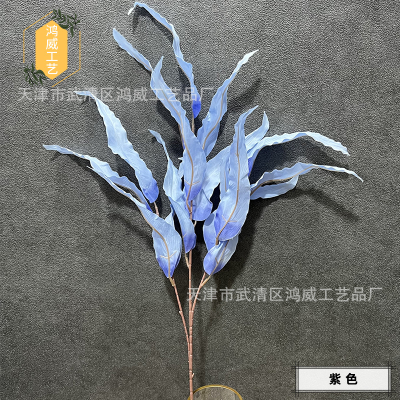 보라색