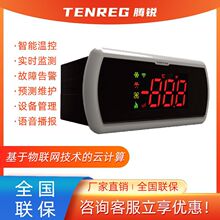 腾锐 物联网温控器TR601 制冷制热化霜报警 支持4G通信 远程管理