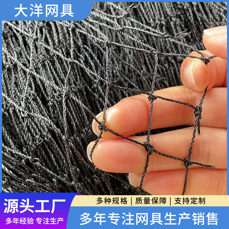 鸟网 大洋网具厂家供应隔养鸟网 农作物用蔬菜防鸟驱鸟网围网