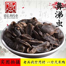 �ϱ��\����ș�����l�����x�������S�����Y�|�Rȫ֧�ֳ����؛