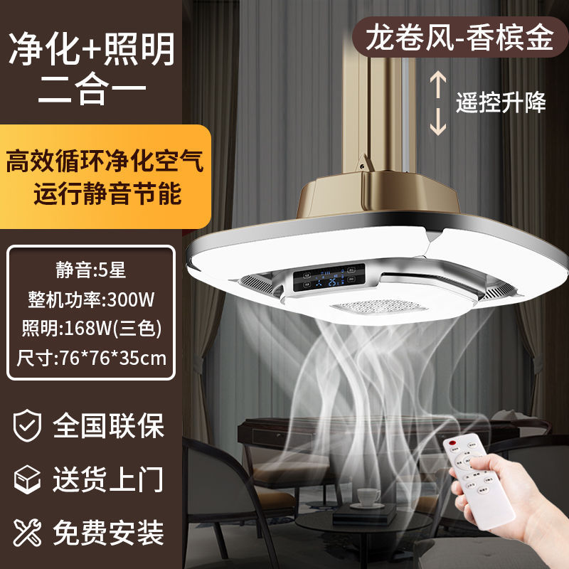 스트레이트 로우 탑 액세서리 - 임페리얼 골드