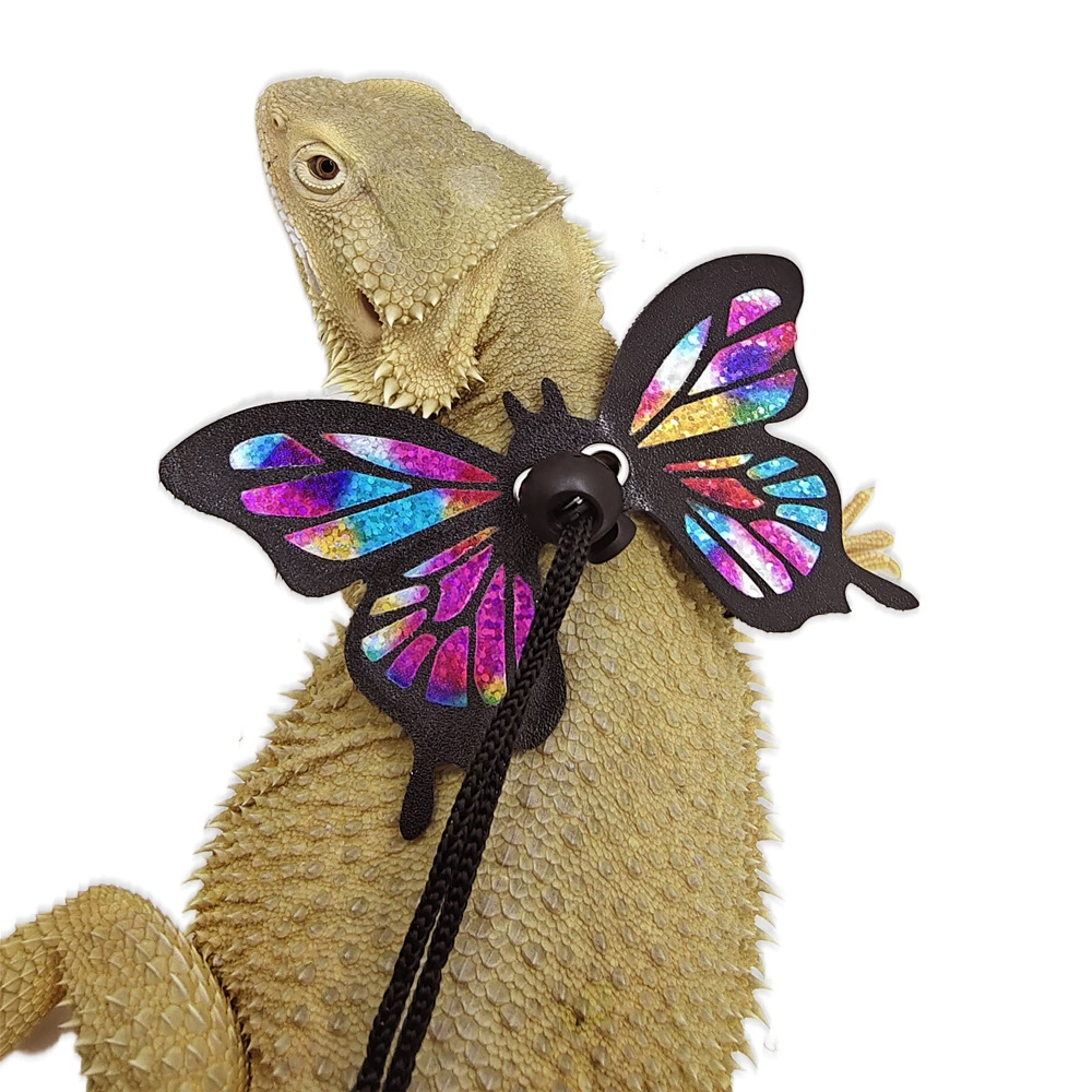 Трансграничный каменный дракон хамелеон набор ящериц