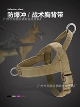 狗狗背心圈大型犬狗胸背带背心式项圈马犬金毛德牧边牧脖圈遛狗圈