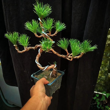 ���ͺ����Ϙ�С���辰��ᘾGֲ�ļ������ͺ�ӭ�����̨�҃Ⱥ���