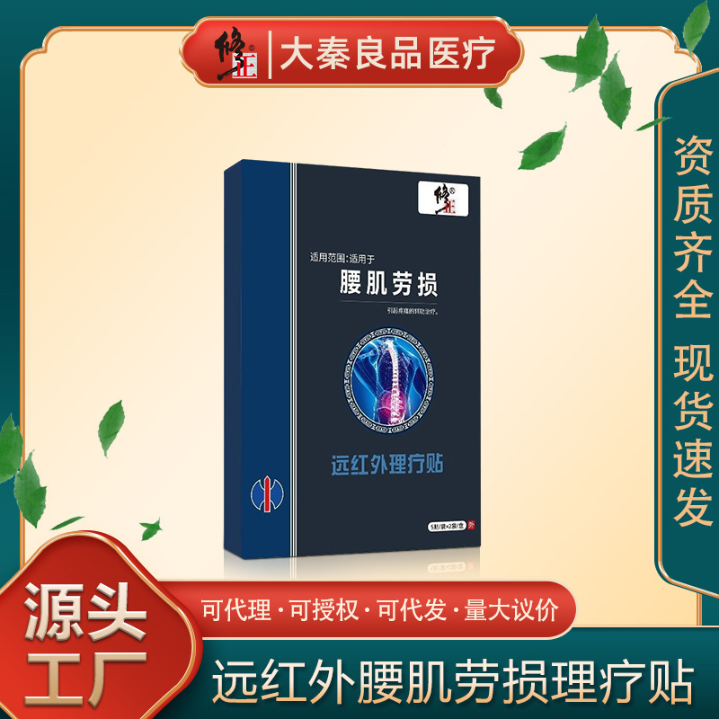 Corrective Far-Infrared Magnetic Therapy Patch for Lumbar Muscle Strain and Lumbar Pain, Medical Auxiliary Treatment for Back Pain, Special Plaster Patch