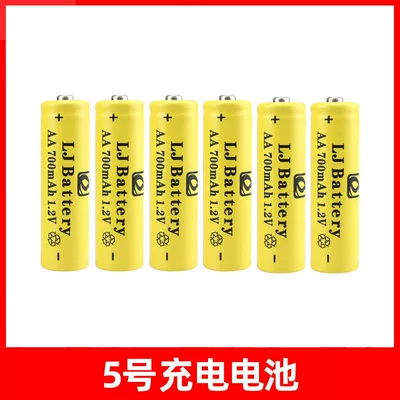 Hibrid akkumulyator batareyaları Rechargeable Battery No. 5 Battery - without-charger-no-5-6-sections-factory-direct-delivery