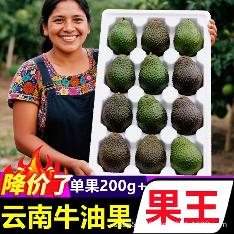 Yunnan Hass Avocado Fresh Fruit for Pregnant Women, 15 Pieces, Ready-To-Eat, Seasonal Domestic Avocado, Whole Box Wholesale