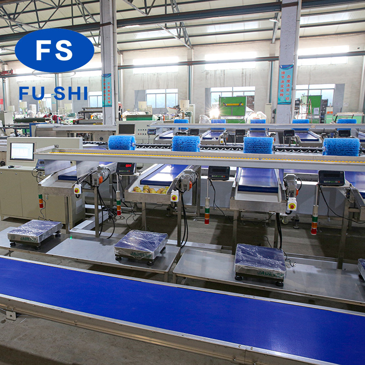 FGX-DZ型果蔬等级分选系列果品大小重量尺寸分选选果机ce认证