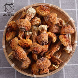 康旺古田姬松茸干货500g非特级松茸菌巴西菇蘑菇菌菇厂家散装批发