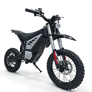 2026 Yeni Model Yeniyetmələr üçün Elektrikli Motosiklet, Dirt Bike, Off-Road