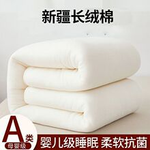 新疆棉花被纯棉被棉絮床垫铺床褥子棉花被子垫被芯秋冬学生被子