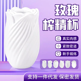 震动棒;情趣跳蛋;飞机杯