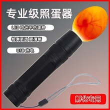 照蛋器孵化机可充电LED手电小型验蛋机芦丁鸡蛋受精率照蛋灯批发